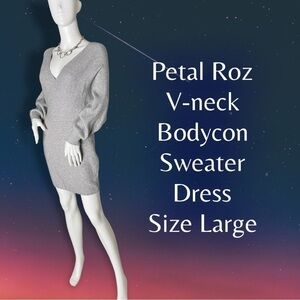 PETAL Roz Silver Gray Vneck Bodycon Sweater Dress Size Large